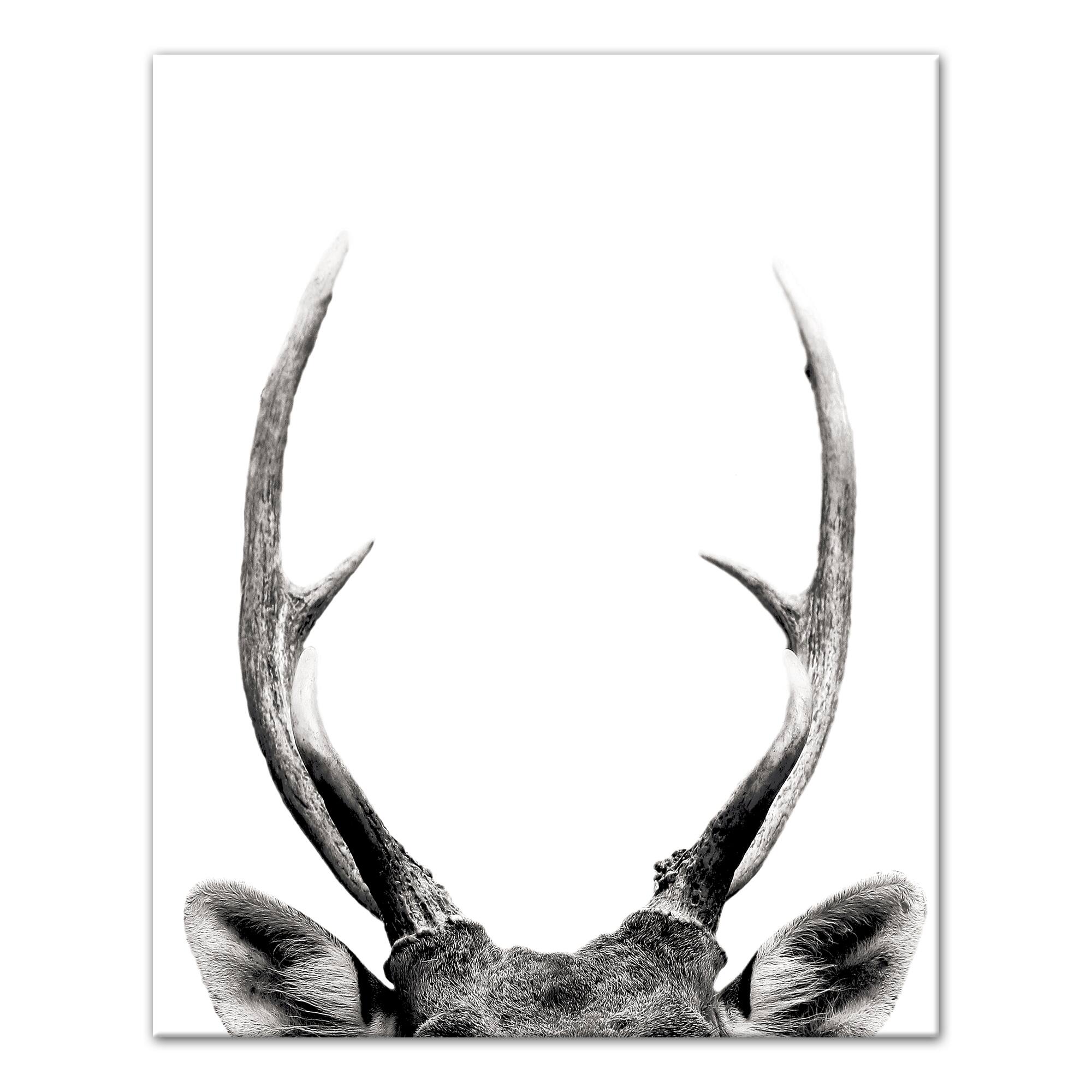 Peeking Deer 16" x 20" Canvas Wall Art